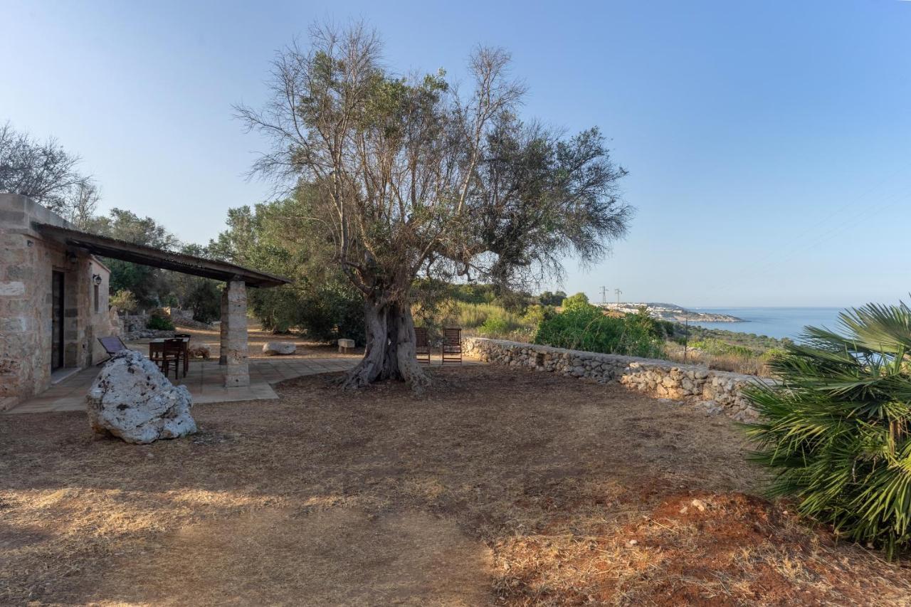 Levante E Libeccio Villette Vista Mare - Marina Di Andrano Ngoại thất bức ảnh